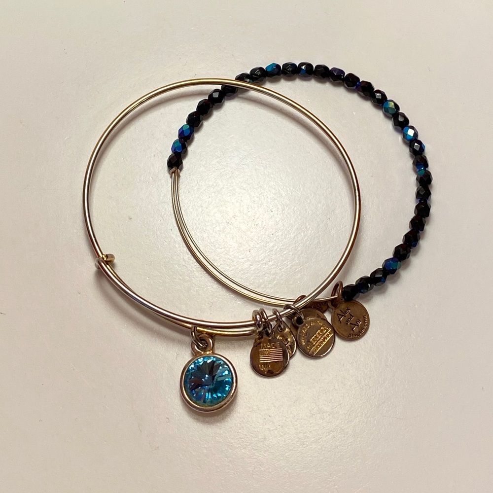 Alex and Ani Duo Bangle Set